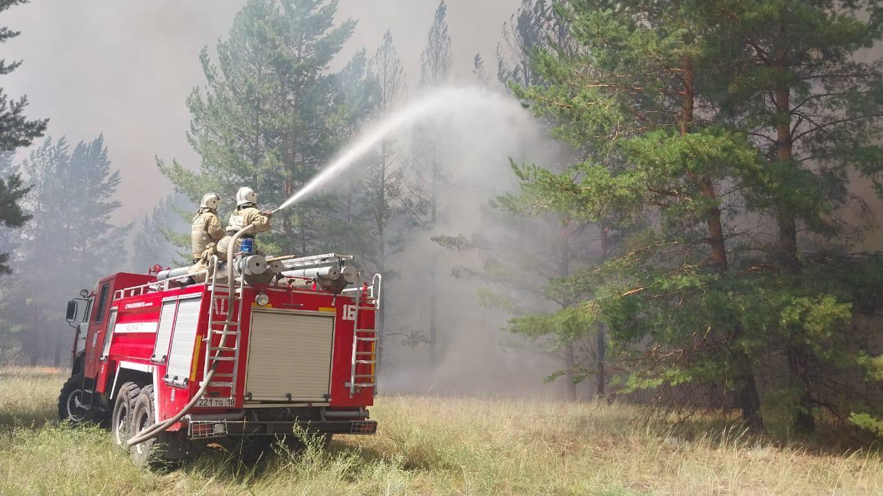 Лес под угрозой: в Казахстане усиливают контроль за пожарами