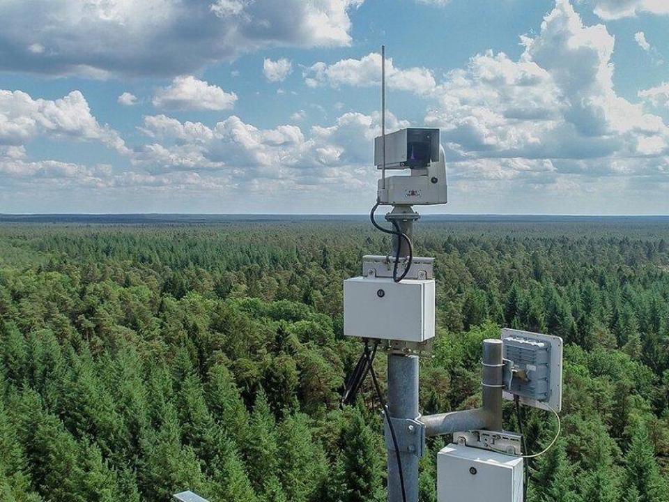 8,5 млрд тенге из утильсборов направлены на защиту лесов