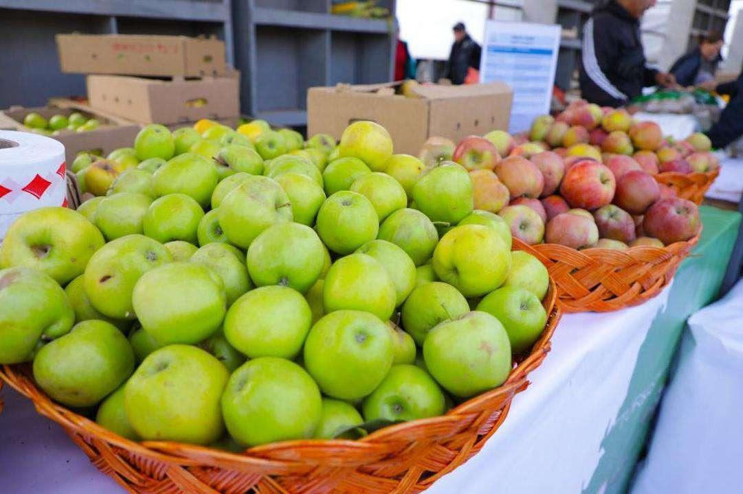 В Астане открываются ярмарки фермерской продукции из регионов