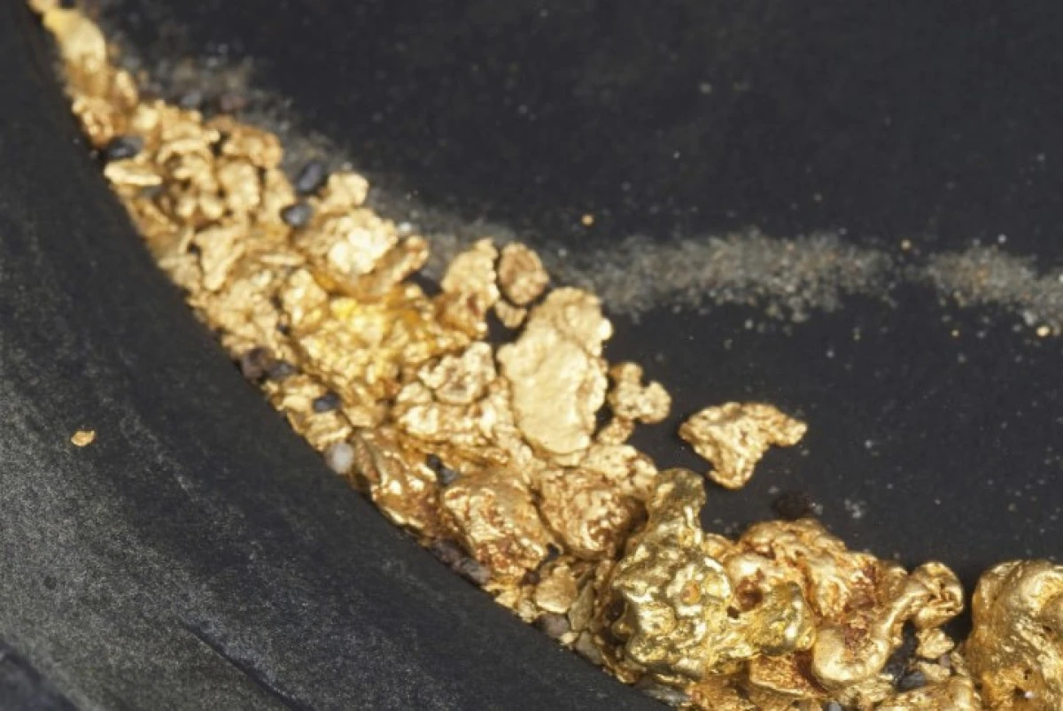 В ВКО выявлена незаконная добыча золота на сумму более 300 млн тенге