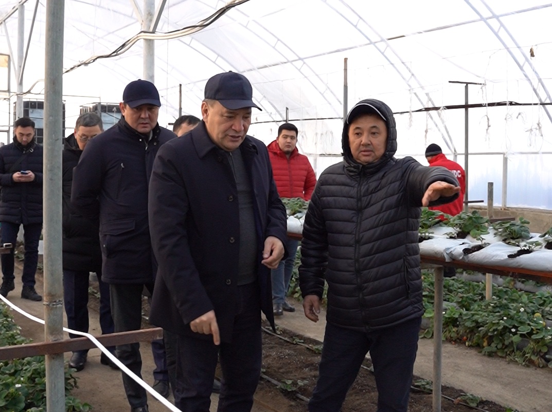 «Ауыл аманаты» – өңірлік экономиканы әртараптандырудың нақты тетігі