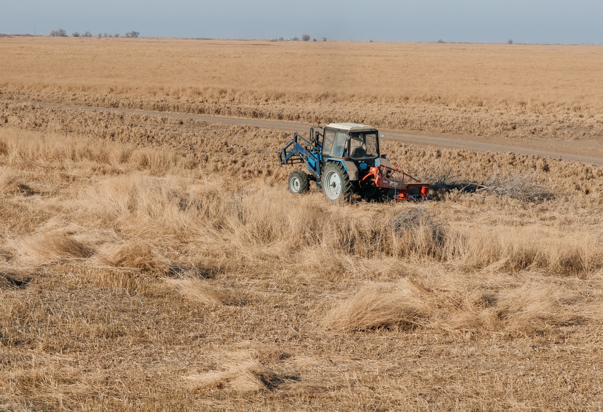 В Махамбетском районе Атырауской области посевные площади увеличились в два раза