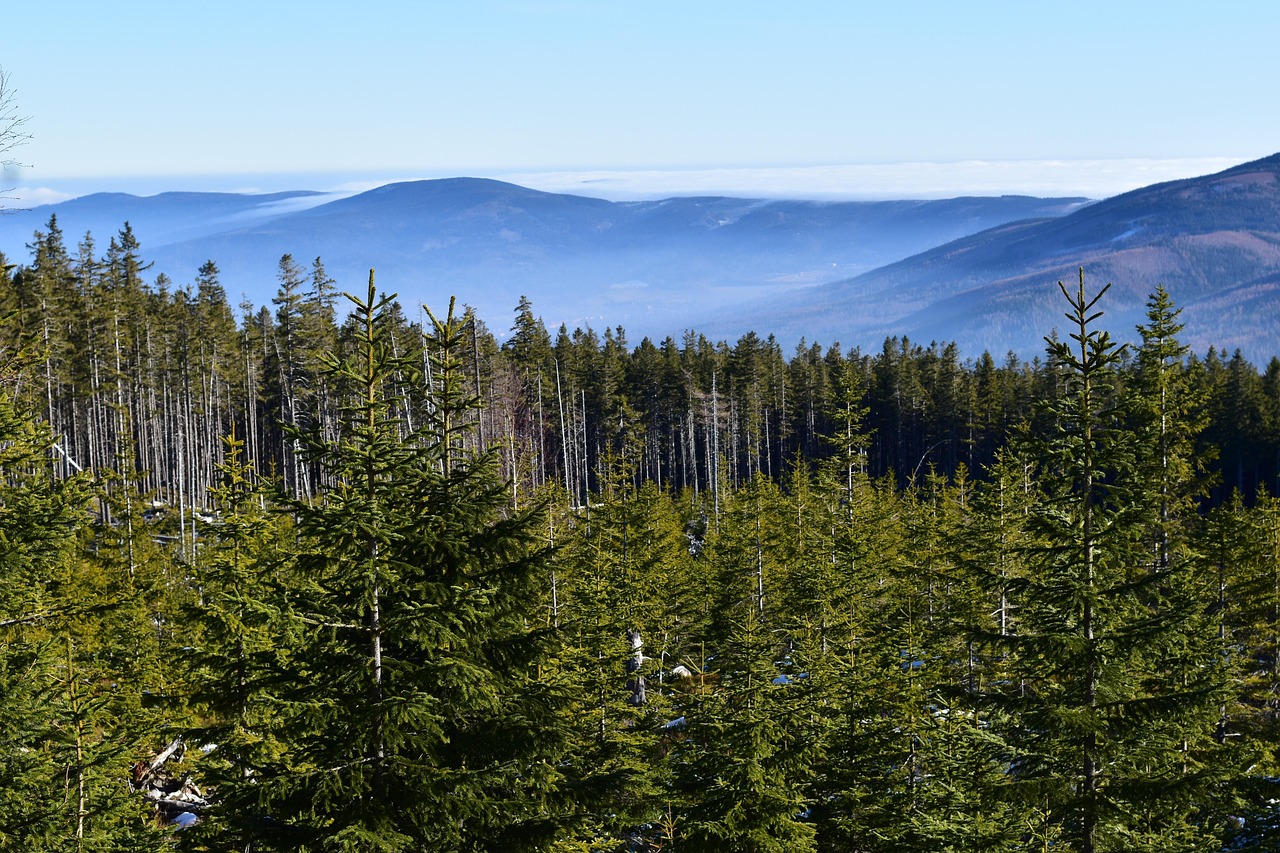 Акиматы будут контролировать целевое использование земель под туристские объекты