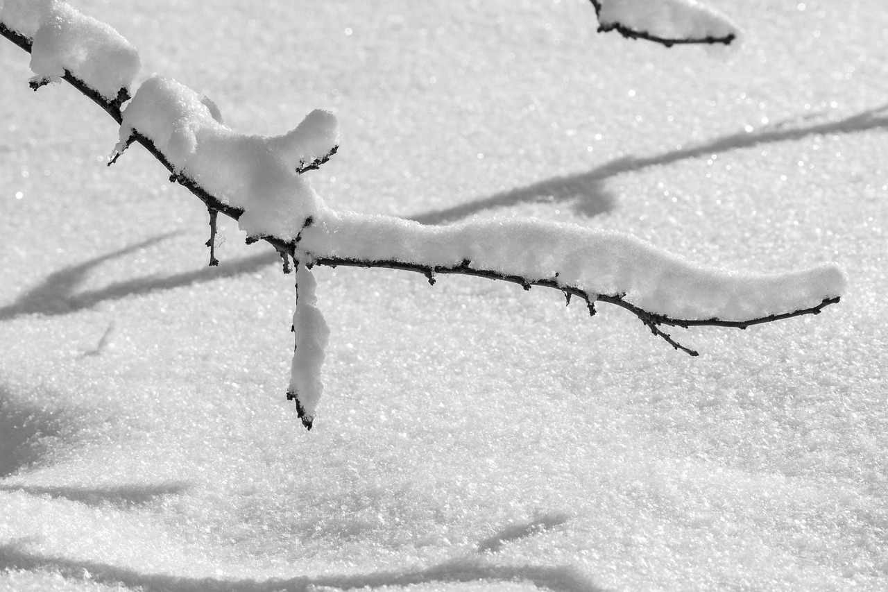 Снег и морозы продолжатся на севере и востоке Казахстана