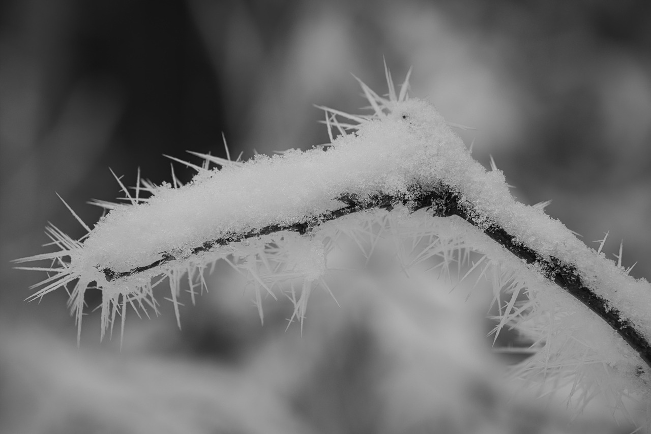 Мороз до –38°С и снегопады: прогноз погоды на ближайшие дни в Казахстане