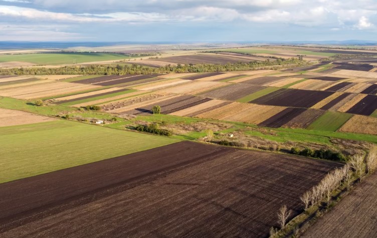 В Казахстане упрощены процедуры получения сельхозземель