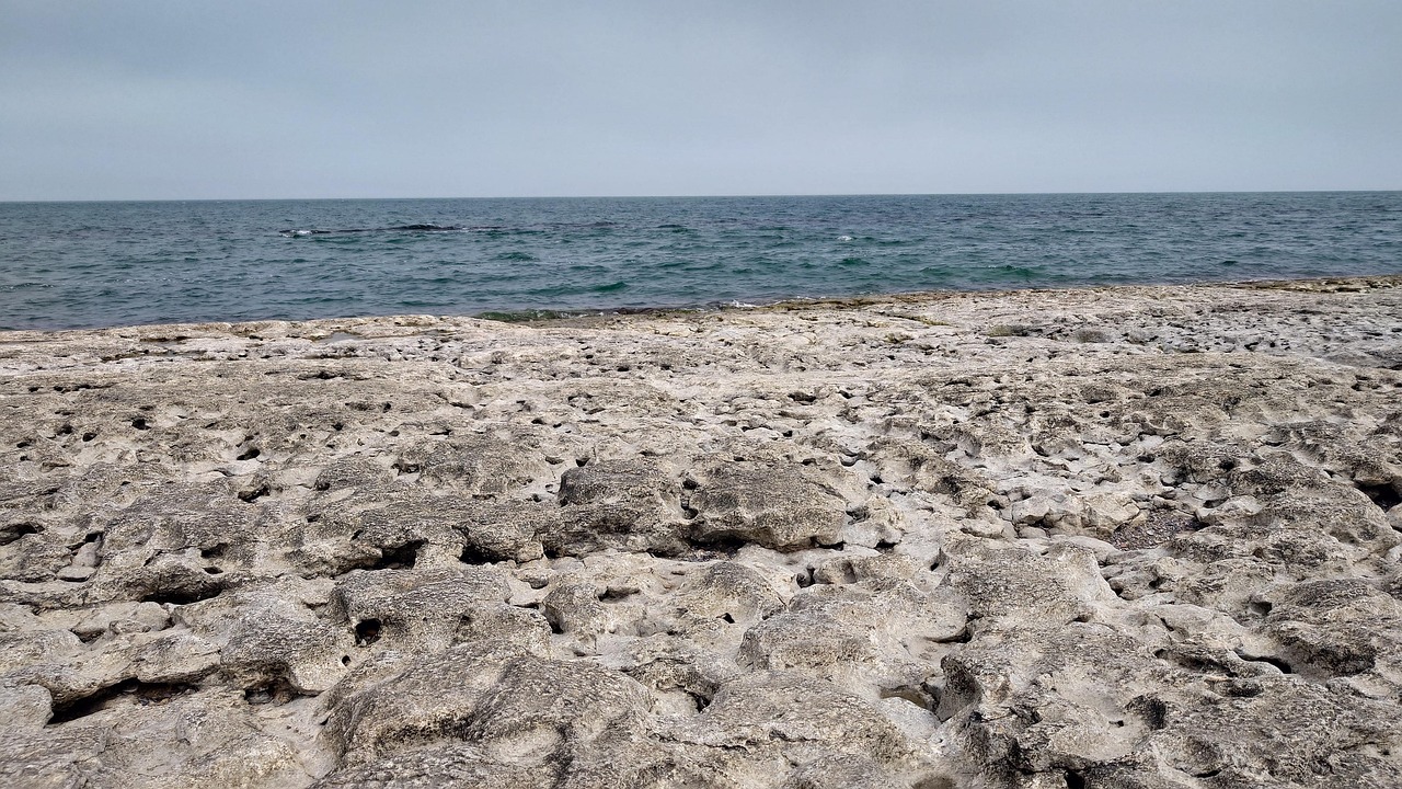 Правительство выделило 1,1 млрд тенге на изучение и сохранение Каспийского моря