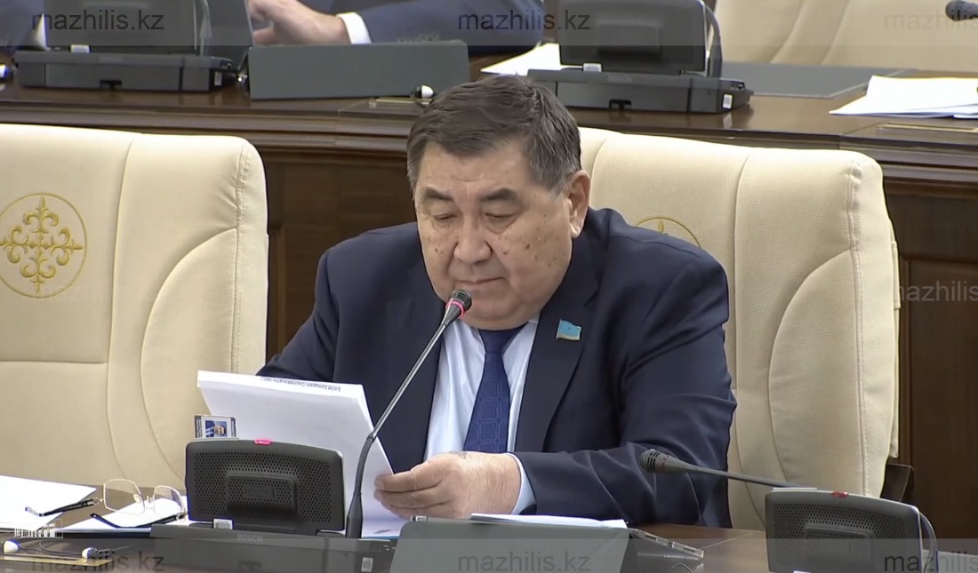 Депутат Бапи: Критика новой Конституции играет на руку «старой системе»