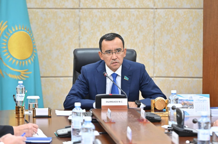 Спикер Сената: Новая Конституция - это ответ на внешние вызовы эпохи