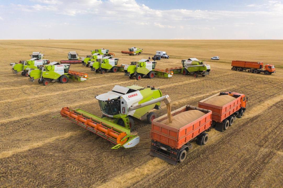 Экспорт зерна и муки из Казахстана вырос на 60%