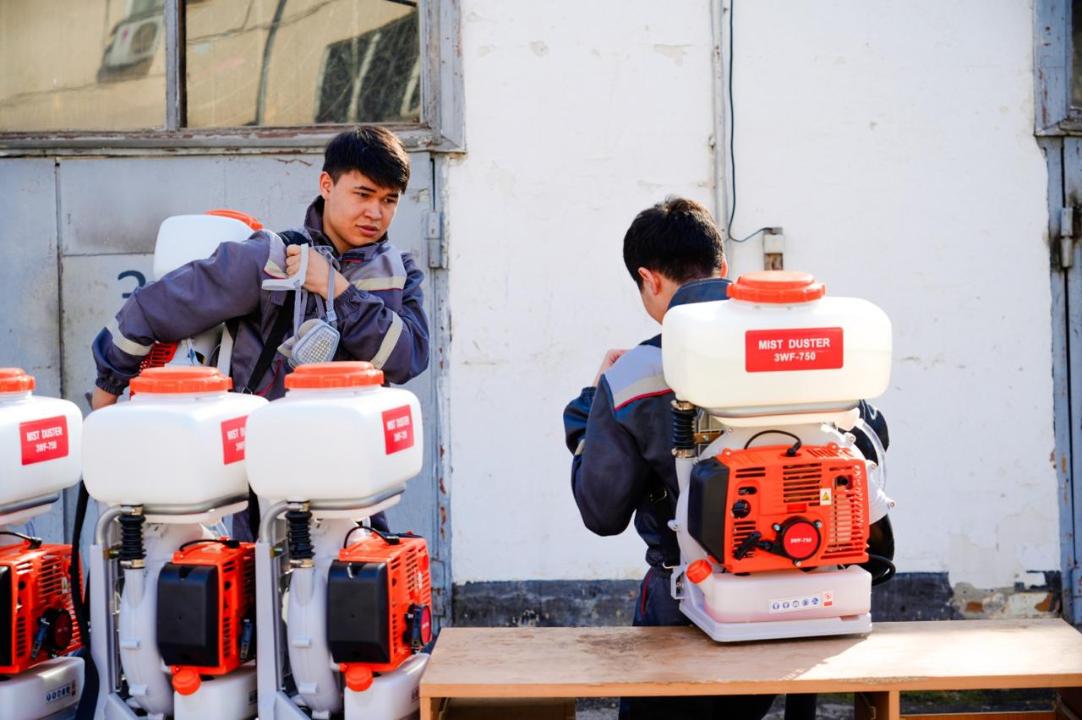 В Астане рассказали, как будут бороться с комарами и мошками