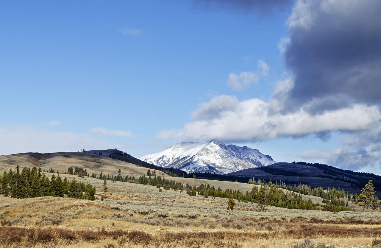 Земли у «Медеу» на 17 млрд вернули государству через суд