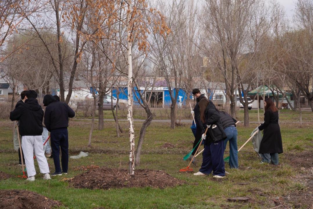 Елорда студенттері «Таза Қазақстан» акциясы аясында сенбілікке қатысты