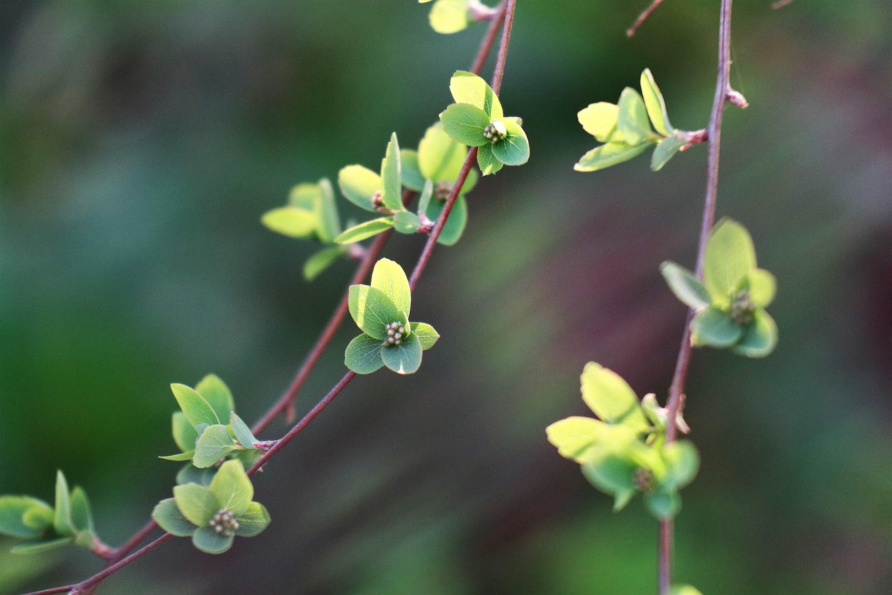 Антициклон отступает: в Казахстан идёт потепление, но с дождями и ветром