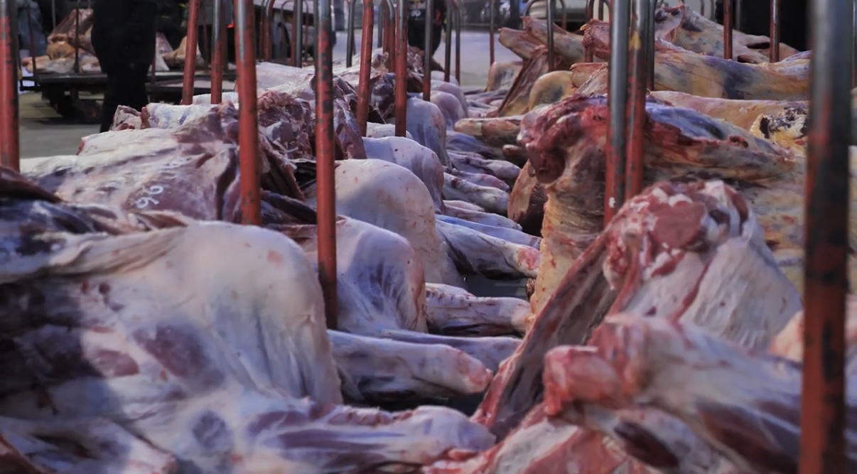 В столице продолжаются меры по контролю за ценами на продукты