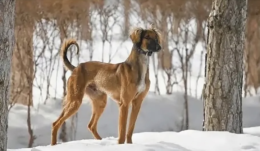 В Казахстане появился новый праздник