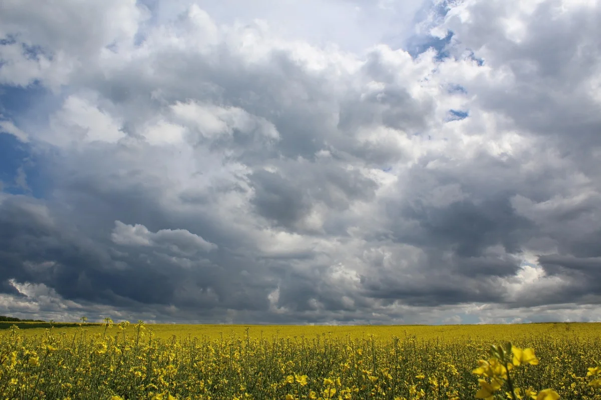 Погода резко испортится: Астану ждут гроза, град и шквальный ветер