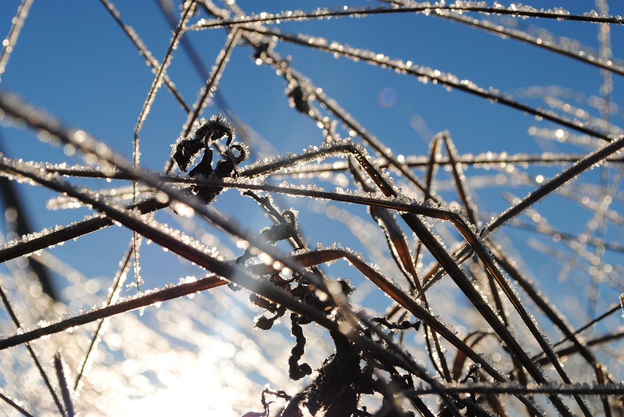 Грозы, мокрый снег и заморозки до 2°C ожидаются в Казахстане