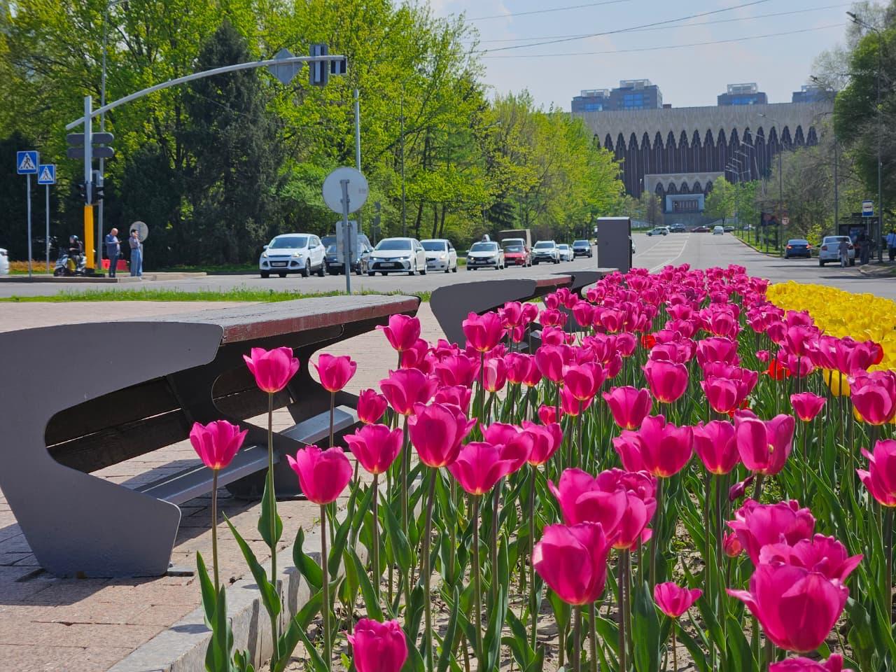 Алматының барлық ауданында гүлмен көгалдандырудың бірыңғай бағдарламасы жүзеге асырылуда