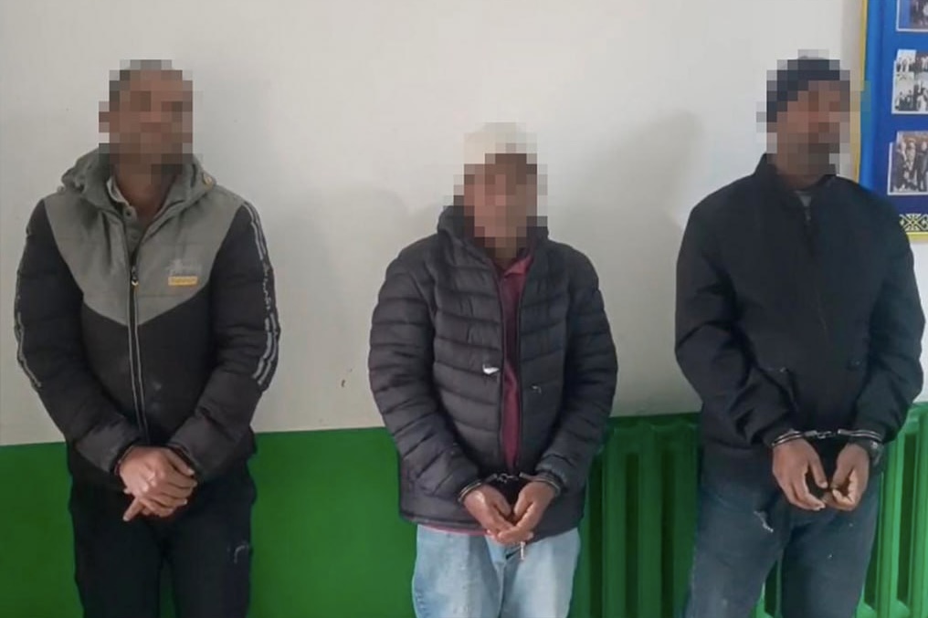 15 иностранцев задержали при попытке незаконно попасть в Казахстан