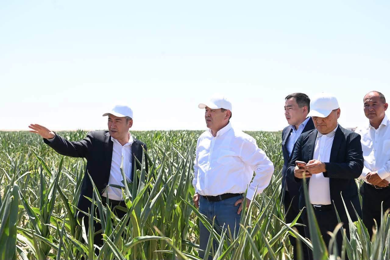 Қызылорда облысының Жалағаш ауданында «Harvest Agro» компаниясының агроөнеркәсіптік кластер жобасы қарқынды жүзеге асырылуда
