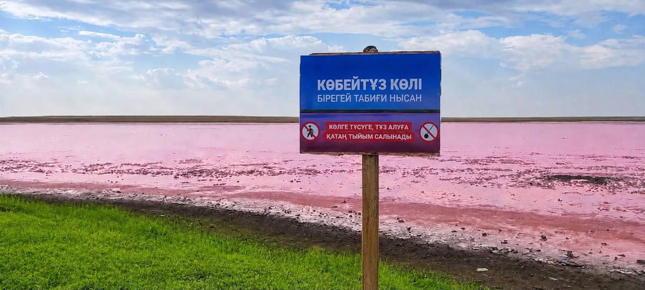Розовое озеро Көбейтұз закрыли для туристов