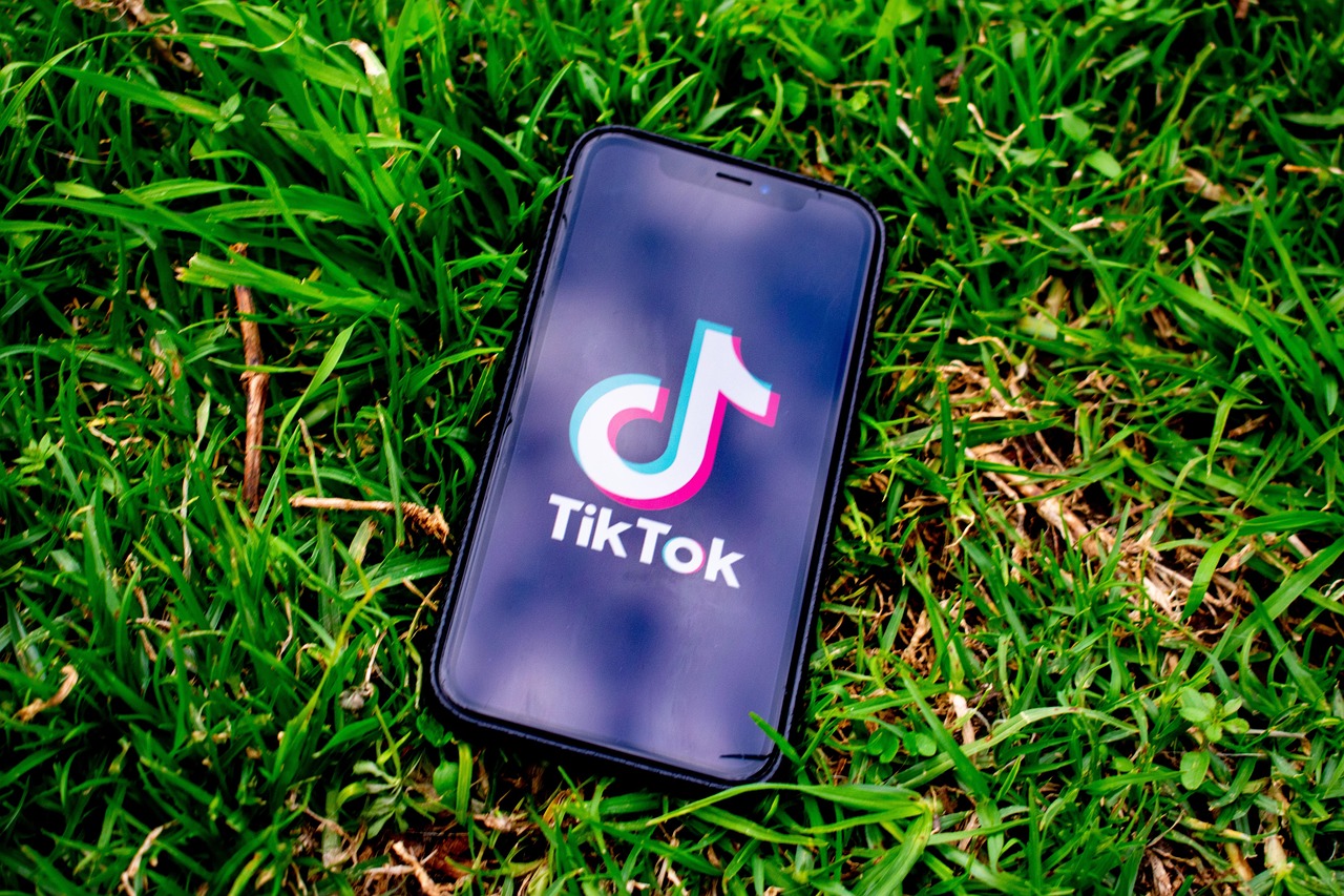 За мат в TikTok наказали жительницу Туркестанской области