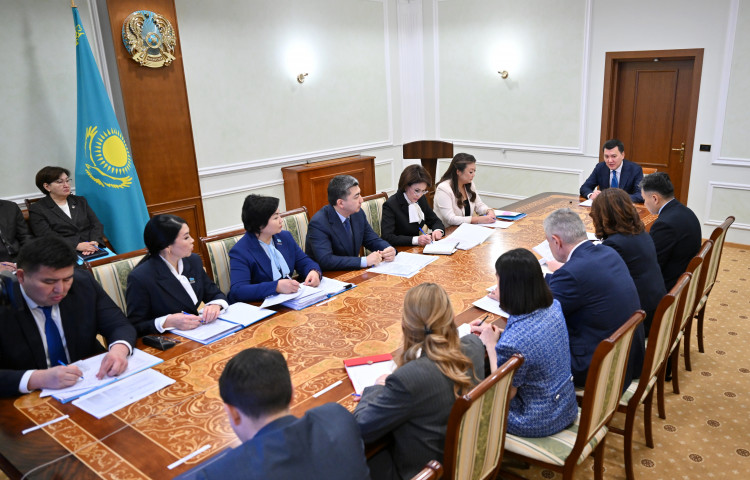 Президент тапсырмасына сәйкес Құрылтай депутаттары мүмкіндігі шектеулі балаларды қолдауға арналған заң әзірлеп жатыр
