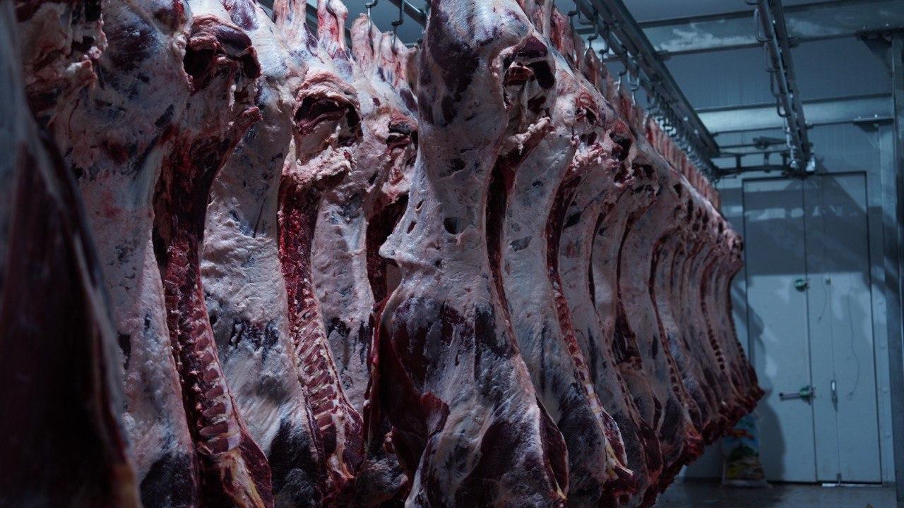 Мяса, молока и яиц стали производить больше в Казахстане