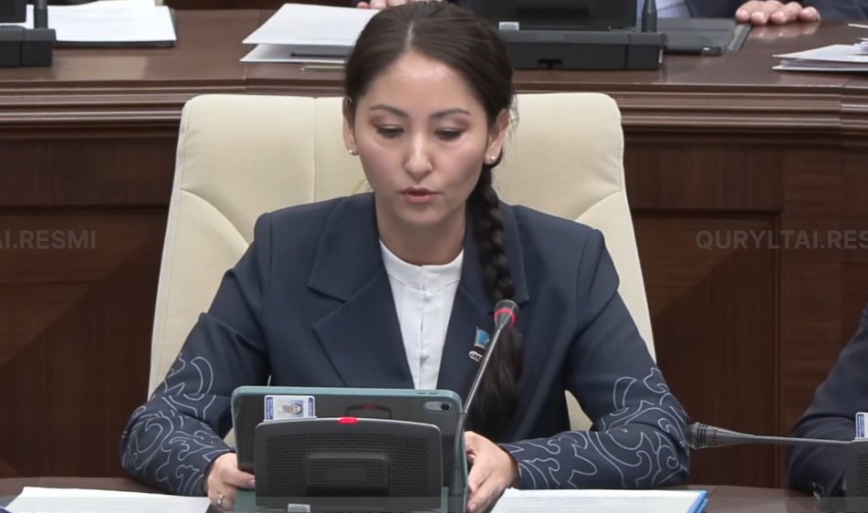 Депутат Аймаганова предложила фиксировать действия полиции при угрозе насилия