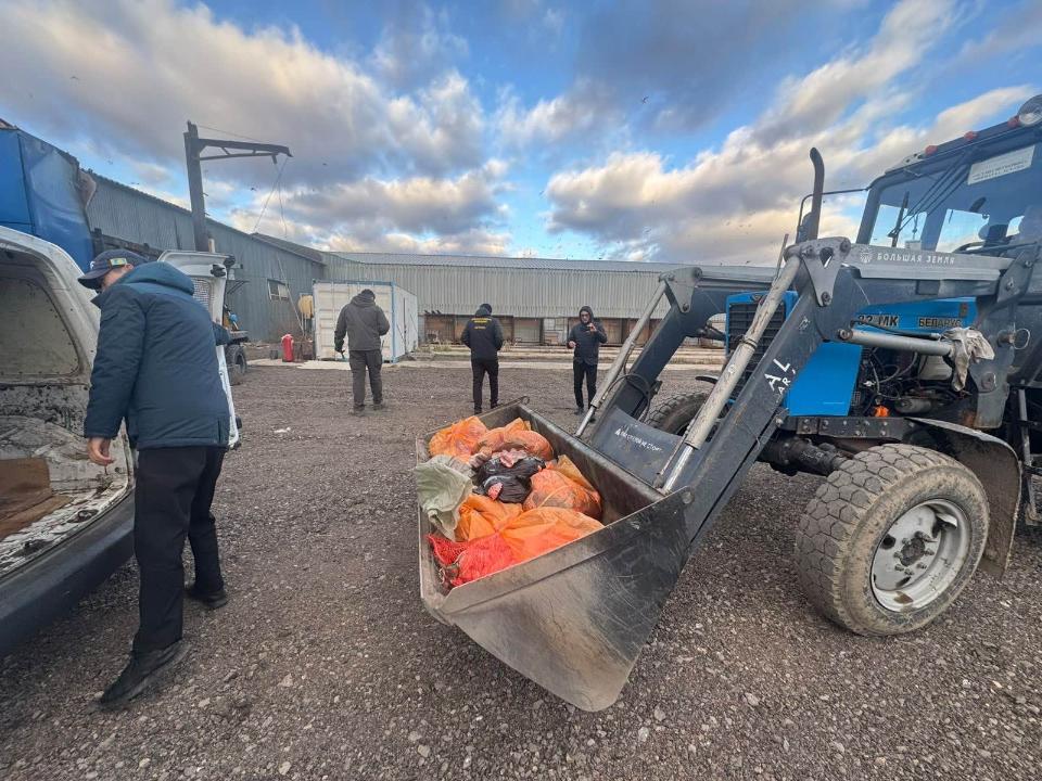 Без ветеринарного заключения: подпольный мясной цех выявили в Астане